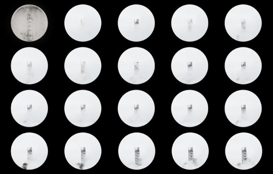 Anna Zagrodzka:  DOB1000609 